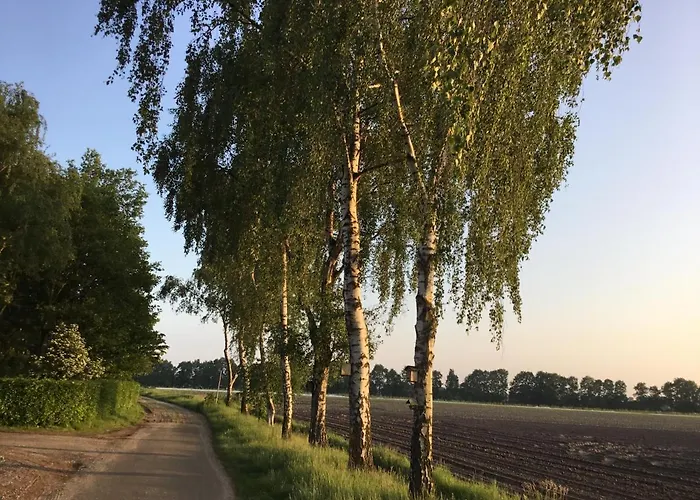 B&B Op \'T Eikenschoor